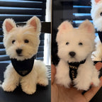 Personalized Pet Portrait Figurine - Custom Handmade Mini Plush Clone