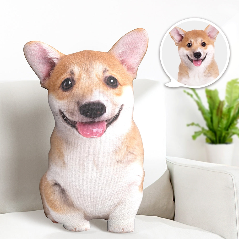 Hot Ugly Cat or Dog Zany Pillow Custom Pet Pillow Personalized Pet Pillow from Photo Pet Loss Memorial Gift Pet Lover Gift