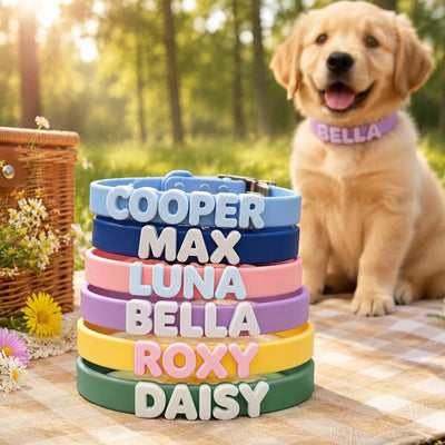 Waterproof Dog Collar with Custom Letter Charms - Pet Collar