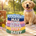 Custom Letter Charm Dog Collar - Waterproof Pet Collar