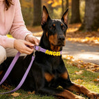 Waterproof Dog Collar with Custom Letter Charms - Pet Collar