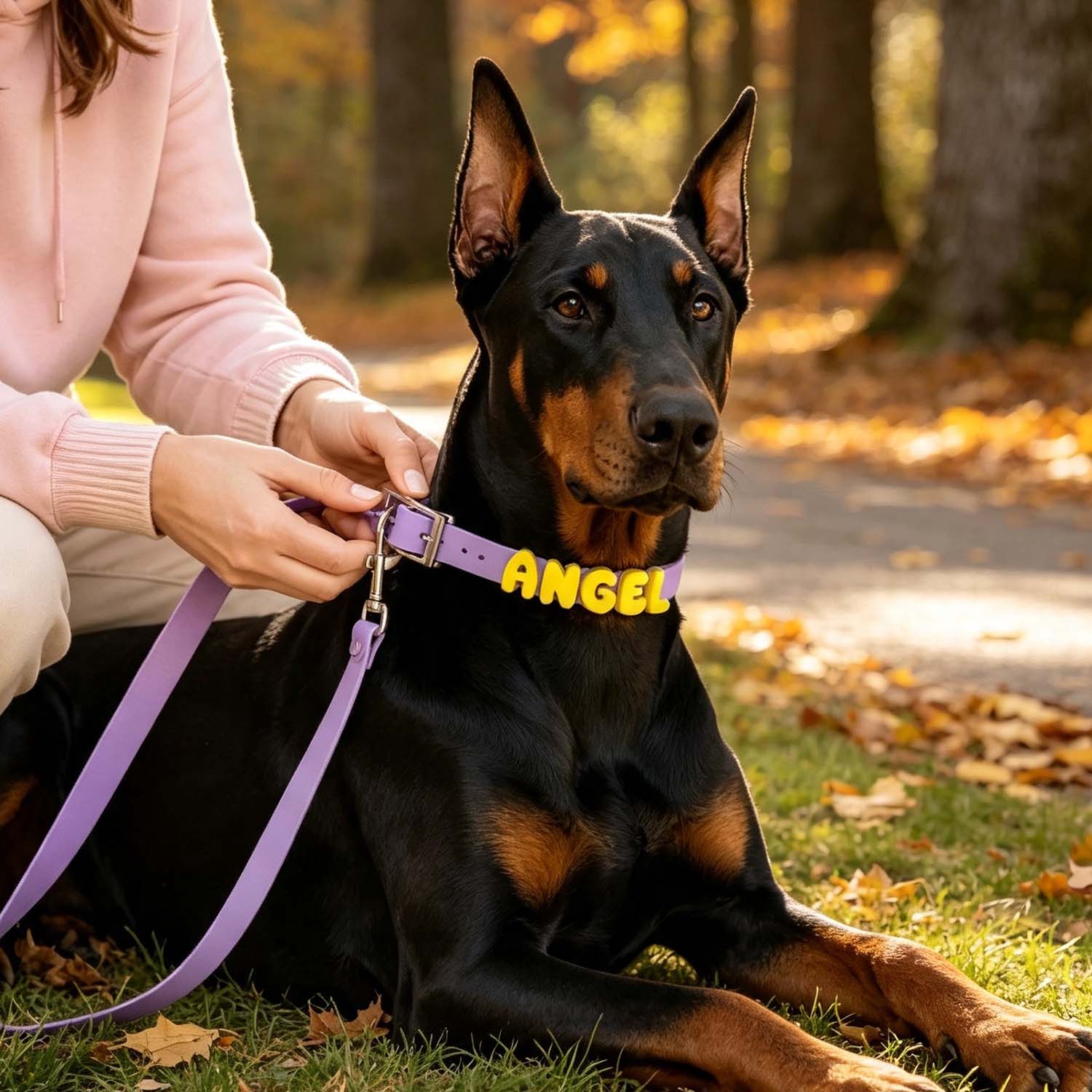 Waterproof Dog Collar with Custom Letter Charms - Pet Collar