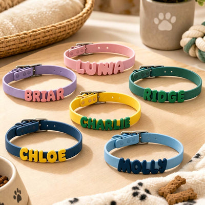 Dog Collar & Leash Set with Custom Letter Charms - Waterproof