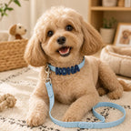 Waterproof Dog Collar with Custom Letter Charms - Pet Collar