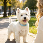 Custom Letter Charm Dog Collar - Waterproof Pet Collar