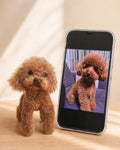 Personalized Mini Plush Pet Clone - Custom Handmade Photo Figurine & Memorial Gift