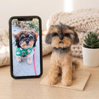 Handmade Plush Pet Clone Figurine - Custom Pet Memorial Gift Keepsake
