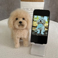 Custom Pet Clone Figurine - Personalized Mini Plush Replica